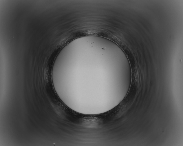 X0000086960316200705071341