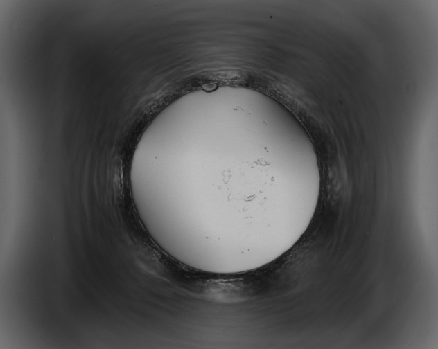 X0000086960320200705071341