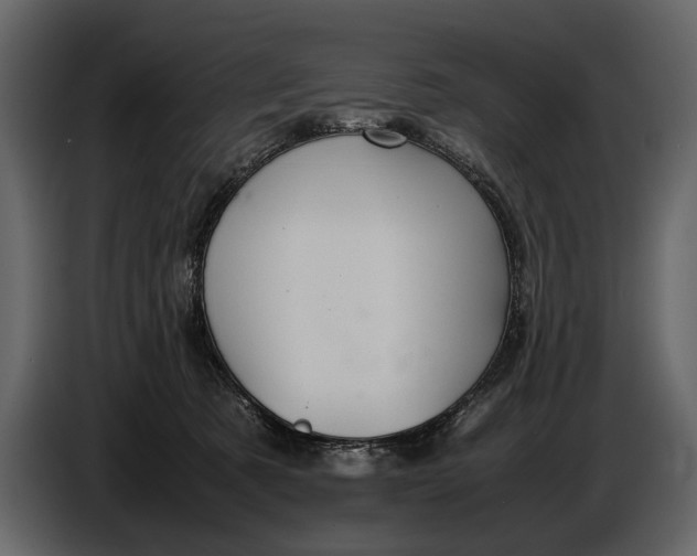 X0000086960321200705071341