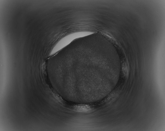 X0000086960322200705071341