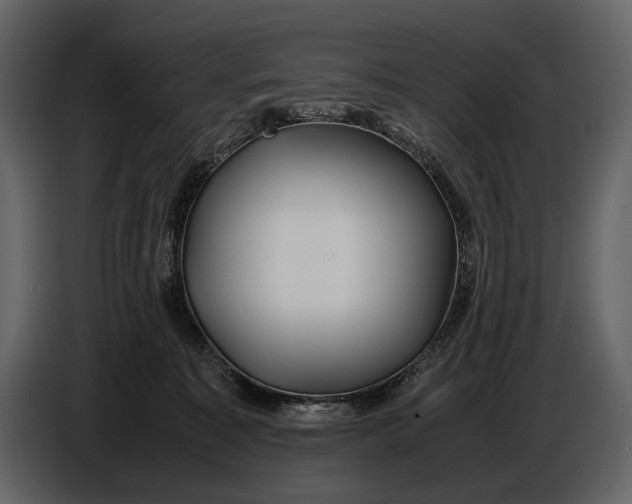 X0000086960323200705071341