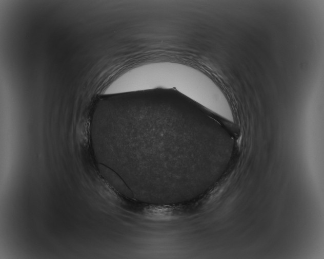 X0000086960325200705071341