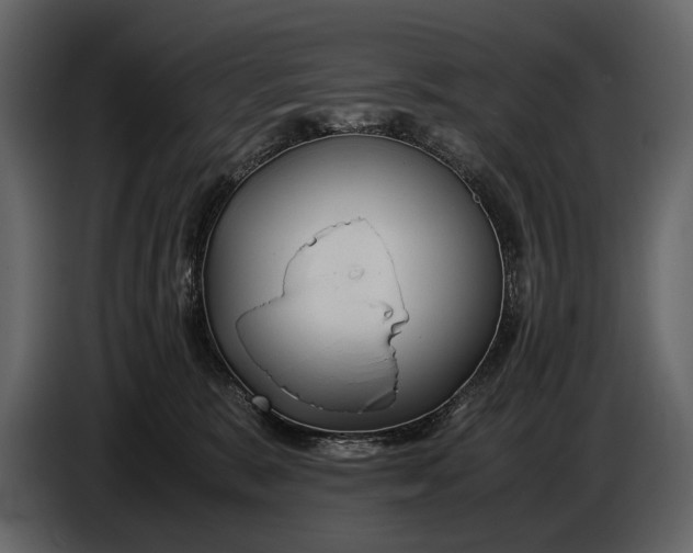 X0000086960327200705071341