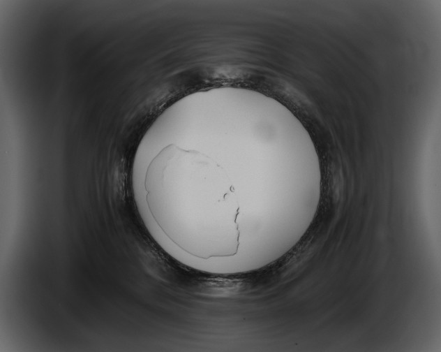 X0000086960328200705071341