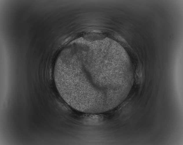 X0000086960330200705071341