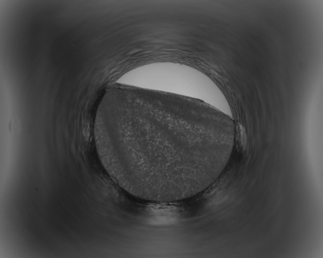 X0000086960331200705071341