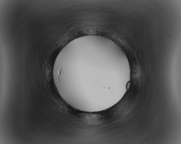 X0000086960332200705071341