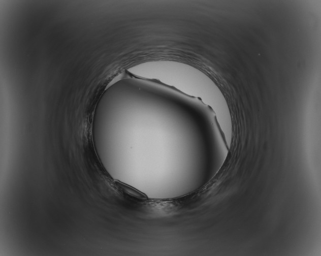 X0000086960333200705071341