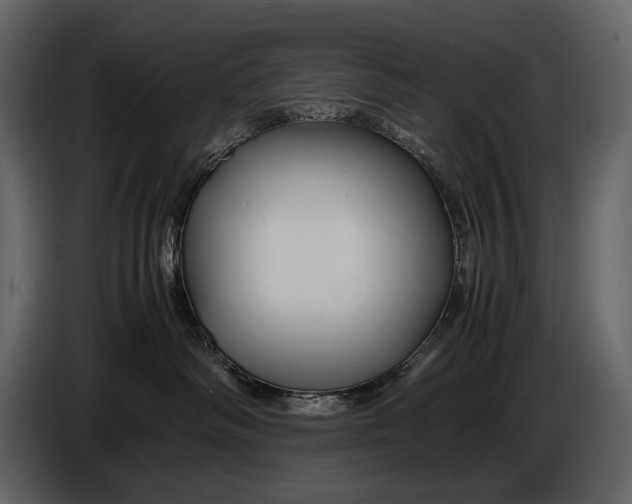 X0000086960334200705071341