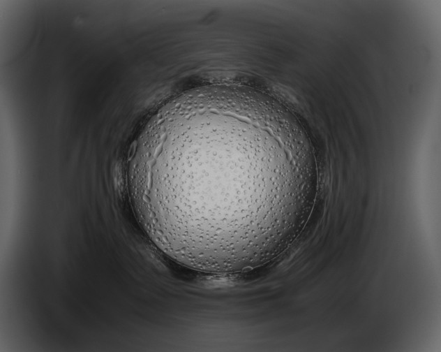X0000086960335200705071341