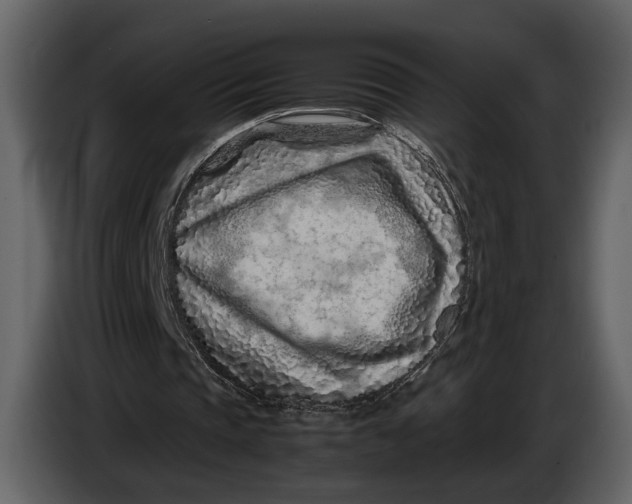 X0000086960337200705071340