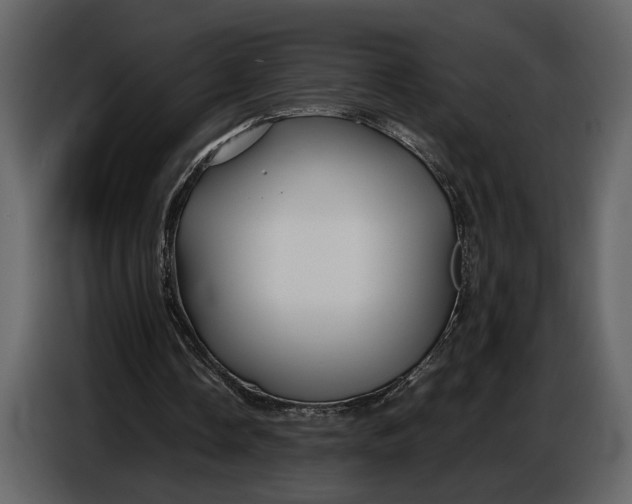 X0000086960338200705071340