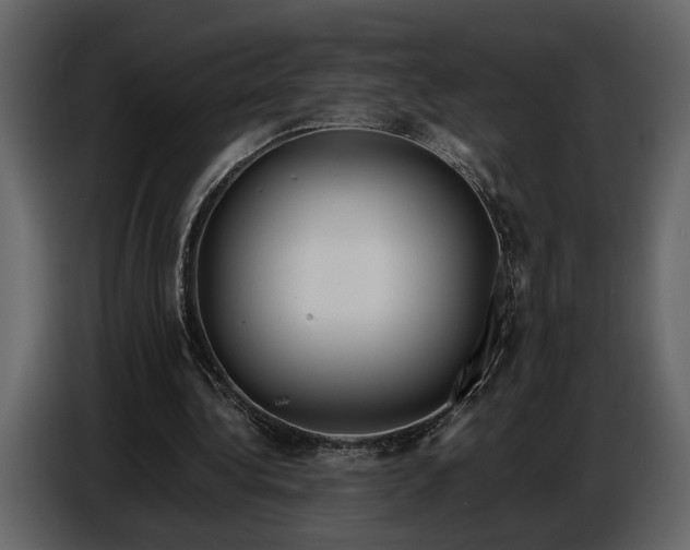 X0000086960340200705071340