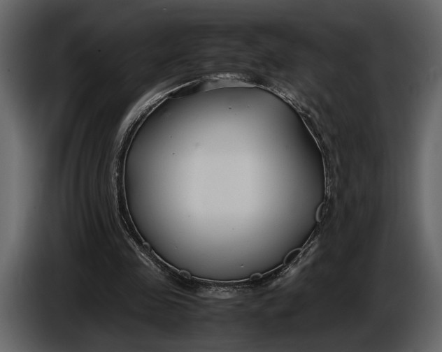 X0000086960341200705071340