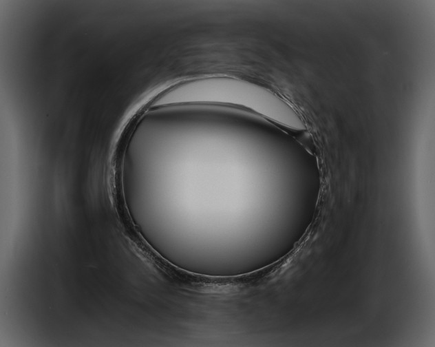 X0000086960342200705071340