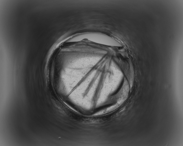 X0000086960343200705071340