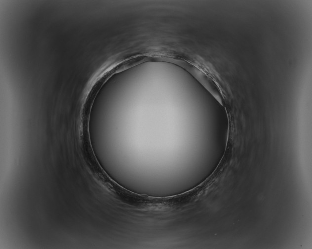 X0000086960344200705071340