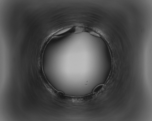 X0000086960345200705071340