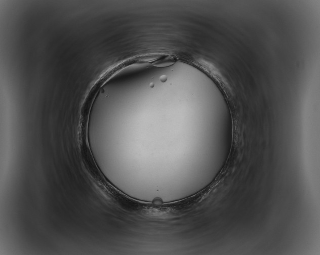 X0000086960346200705071340