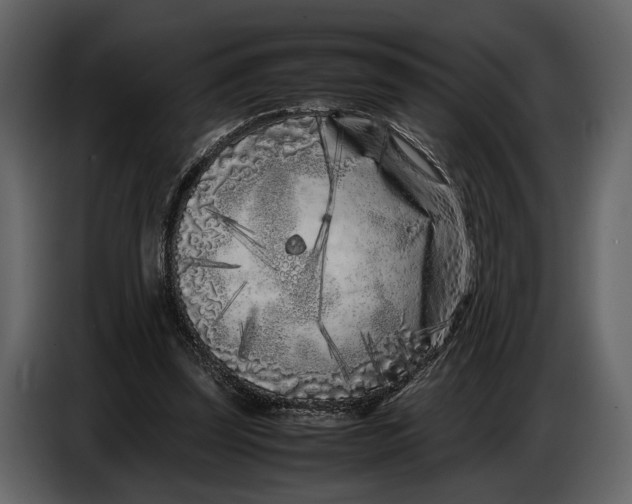 X0000086960347200705071340