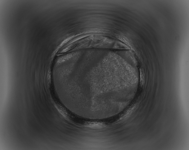 X0000086960348200705071340