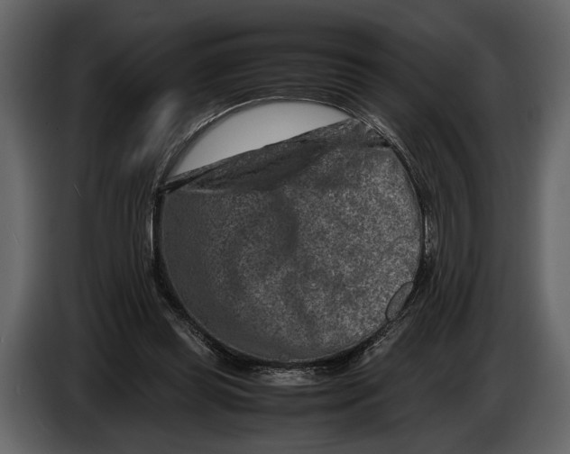 X0000086960349200705071340