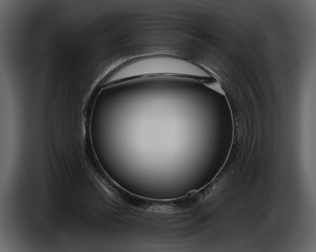 X0000086960350200705071340