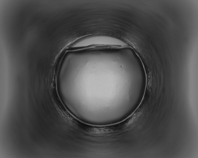 X0000086960351200705071340