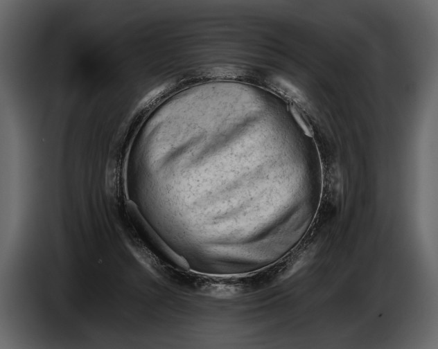X0000086960352200705071340