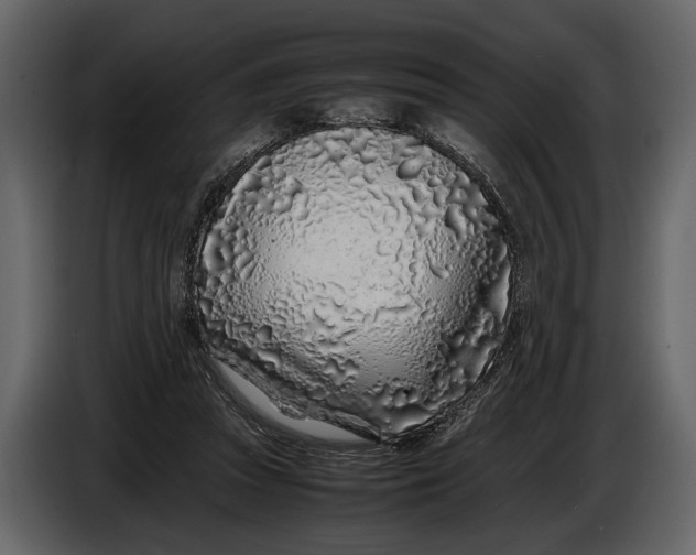 X0000086960353200705071340
