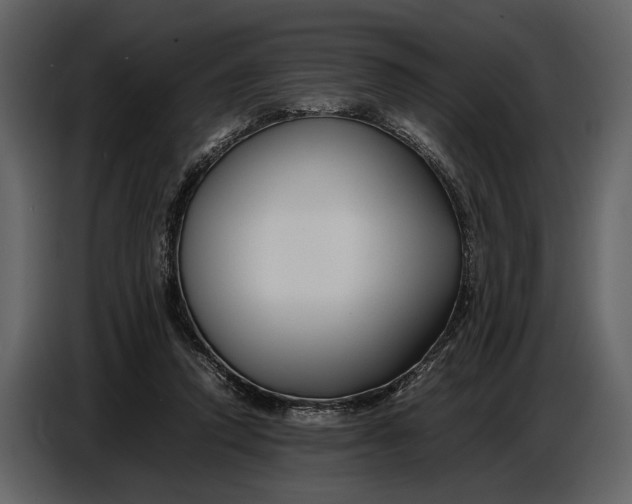 X0000086960354200705071341