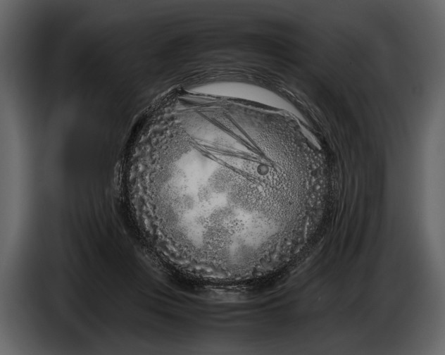X0000086960359200705071341