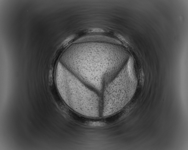 X0000086960360200705071341