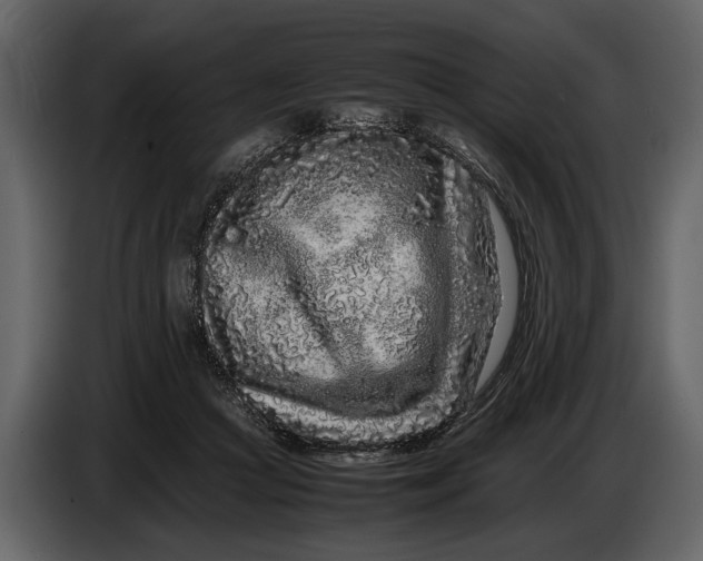 X0000086960361200705071341