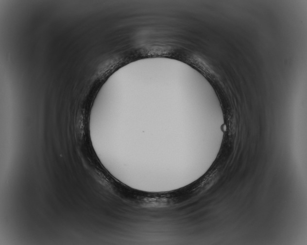 X0000086960362200705071341
