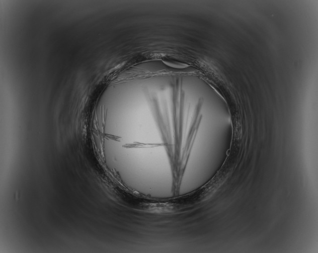 X0000086960363200705071341