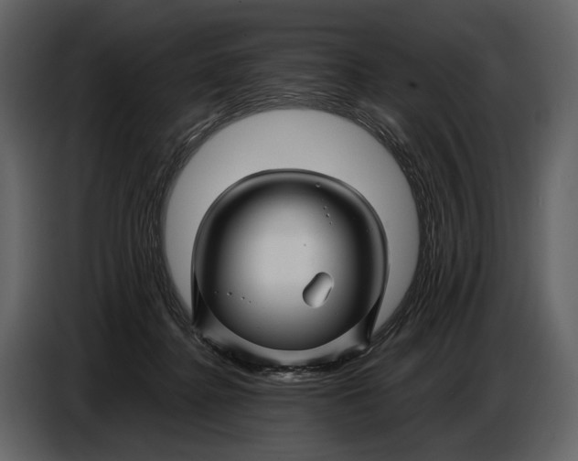 X0000086960364200705071341
