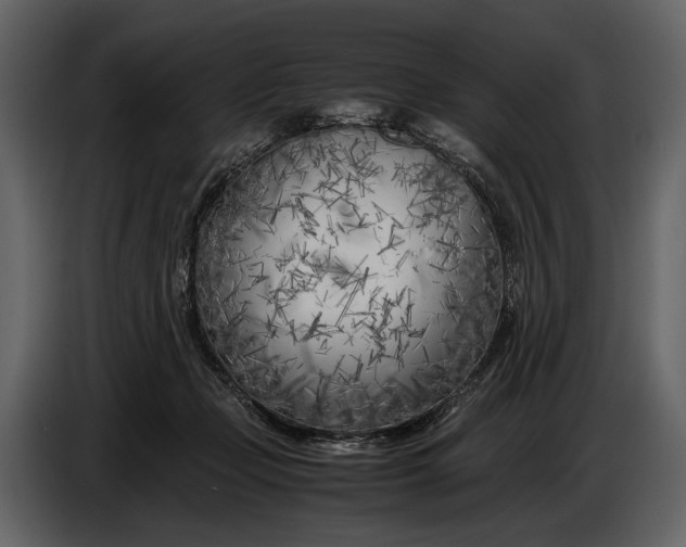 X0000086960365200705071341