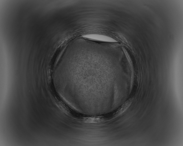 X0000086960366200705071341