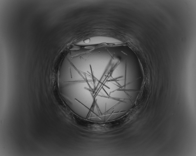 X0000086960367200705071341