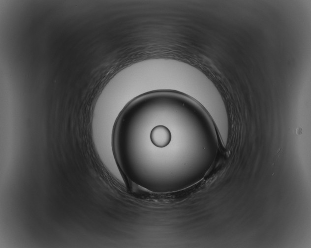 X0000086960368200705071341