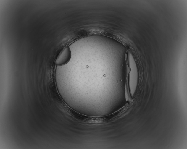 X0000086960369200705071341