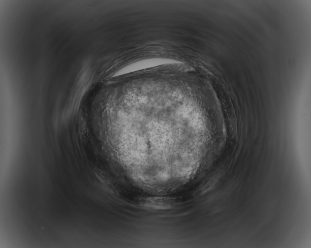 X0000086960371200705071341