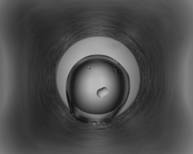 X0000086960372200705071341