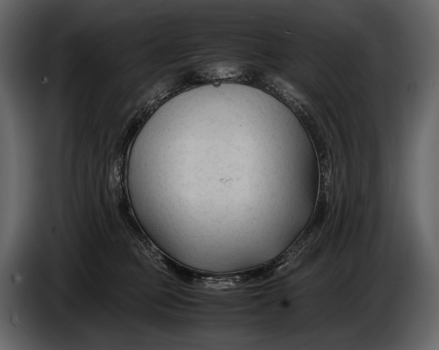X0000086960373200705071341