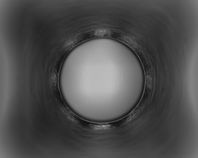X0000086960375200705071341