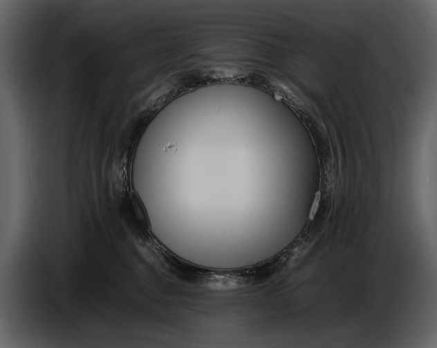 X0000086960376200705071341