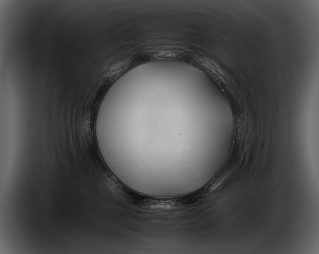X0000086960377200705071341