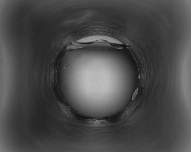 X0000086960379200705071341