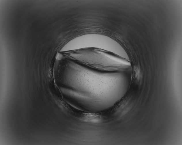 X0000086960380200705071341